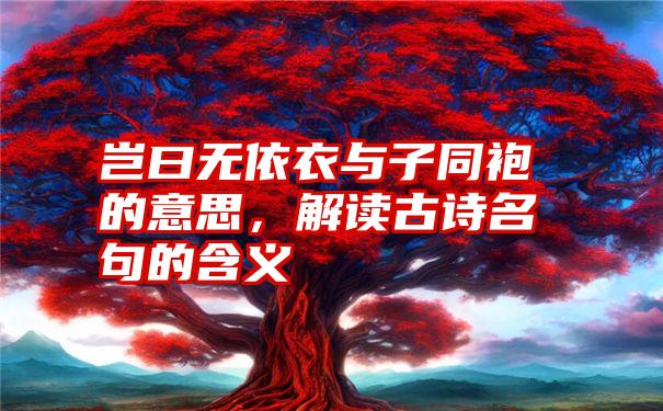 岂曰无依衣与子同袍的意思，解读古诗名句的含义