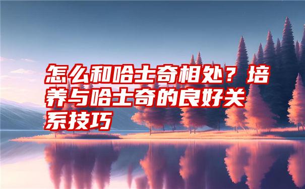 怎么和哈士奇相处？培养与哈士奇的良好关系技巧