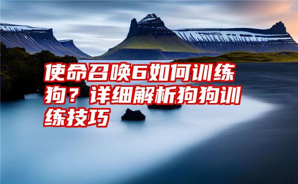 使命召唤6如何训练狗？详细解析狗狗训练技巧