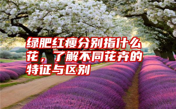 绿肥红瘦分别指什么花，了解不同花卉的特征与区别