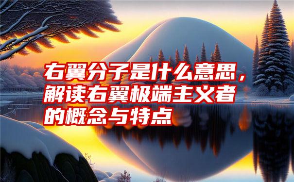 右翼分子是什么意思，解读右翼极端主义者的概念与特点