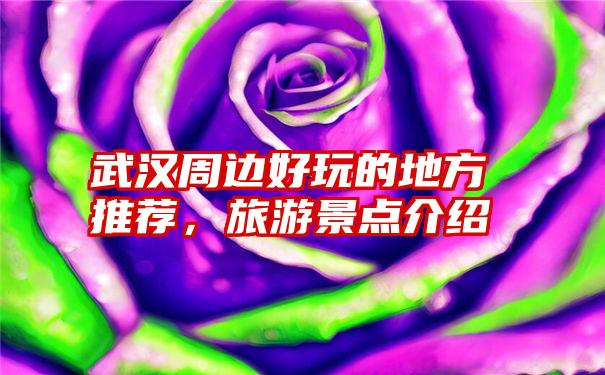 武汉周边好玩的地方推荐,旅游景点介绍