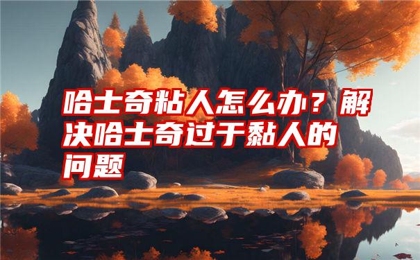 哈士奇粘人怎么办？解决哈士奇过于黏人的问题