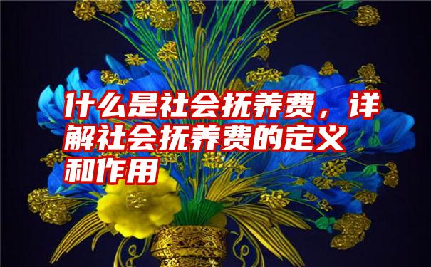 什么是社会抚养费,详解社会抚养费的定义和作用