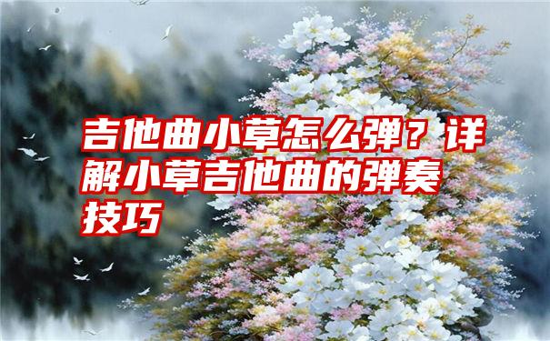 吉他曲小草怎么弹？详解小草吉他曲的弹奏技巧