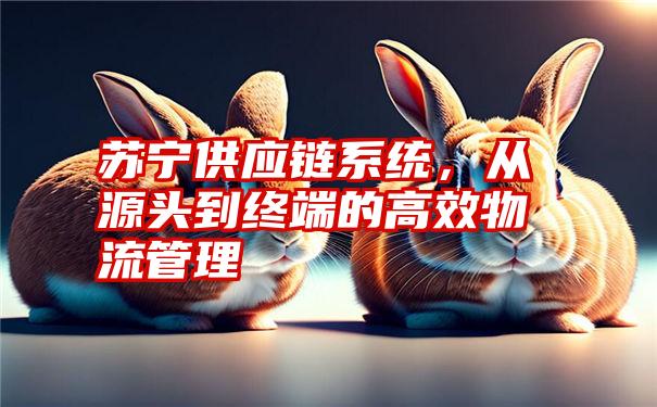 苏宁供应链系统，从源头到终端的高效物流管理
