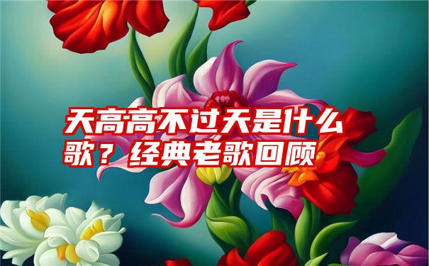 天高高不过天是什么歌？经典老歌回顾