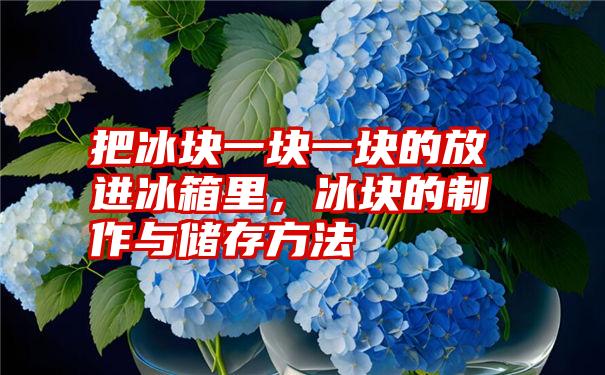 把冰块一块一块的放进冰箱里，冰块的制作与储存方法