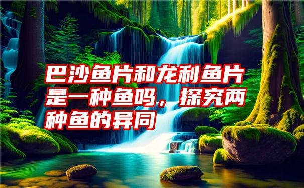 巴沙鱼片和龙利鱼片是一种鱼吗,探究两种鱼的异同