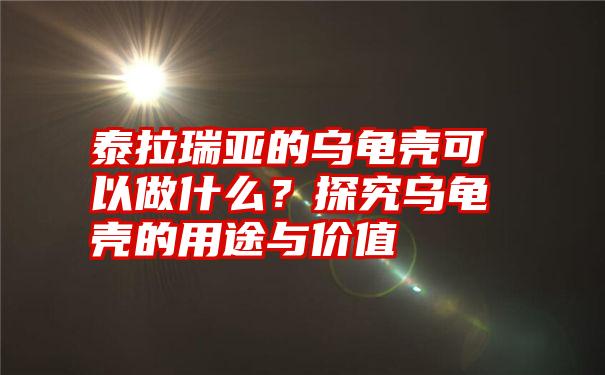 泰拉瑞亚的乌龟壳可以做什么？探究乌龟壳的用途与价值