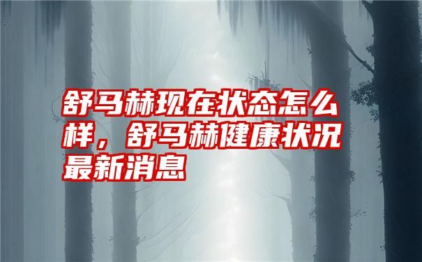 舒马赫现在状态怎么样，舒马赫健康状况最新消息