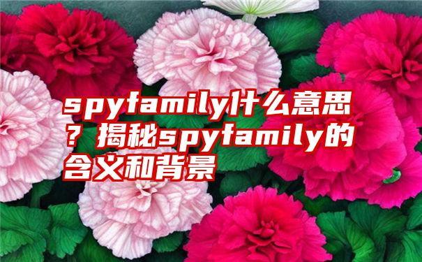 spyfamily什么意思？揭秘spyfamily的含义和背景