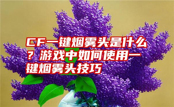 CF一键烟雾头是什么？游戏中如何使用一键烟雾头技巧