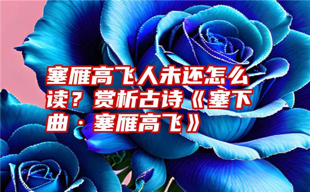 塞雁高飞人未还怎么读？赏析古诗《塞下曲·塞雁高飞》