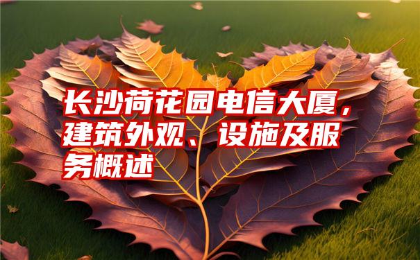 长沙荷花园电信大厦，建筑外观、设施及服务概述