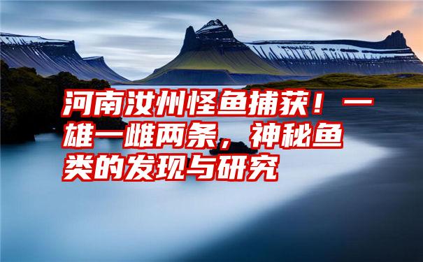 河南汝州怪鱼捕获！一雄一雌两条，神秘鱼类的发现与研究