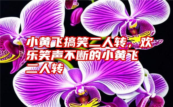 小黄飞搞笑二人转，欢乐笑声不断的小黄飞二人转
