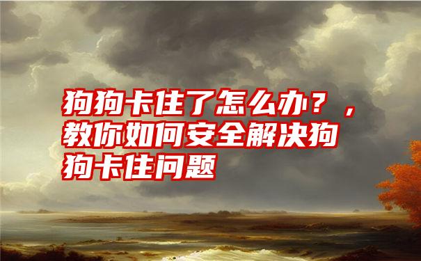 狗狗卡住了怎么办？，教你如何安全解决狗狗卡住问题