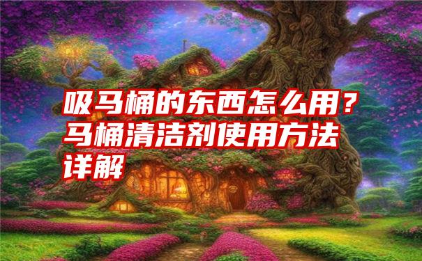 吸马桶的东西怎么用？马桶清洁剂使用方法详解