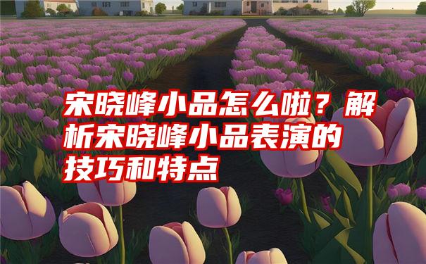 宋晓峰小品怎么啦？解析宋晓峰小品表演的技巧和特点