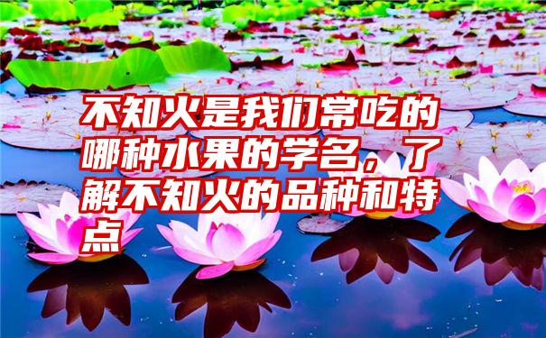 不知火是我们常吃的哪种水果的学名,了解不知火的品种和特点