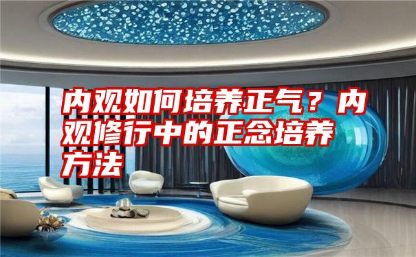 内观如何培养正气？内观修行中的正念培养方法