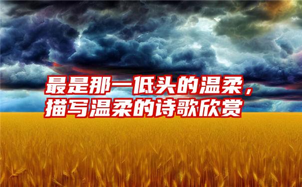 最是那一低头的温柔,描写温柔的诗歌欣赏