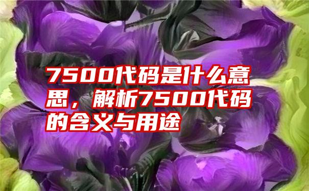 7500代码是什么意思,解析7500代码的含义与用途