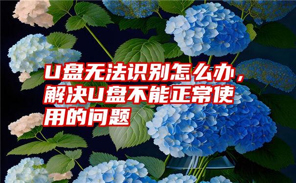 U盘无法识别怎么办，解决U盘不能正常使用的问题