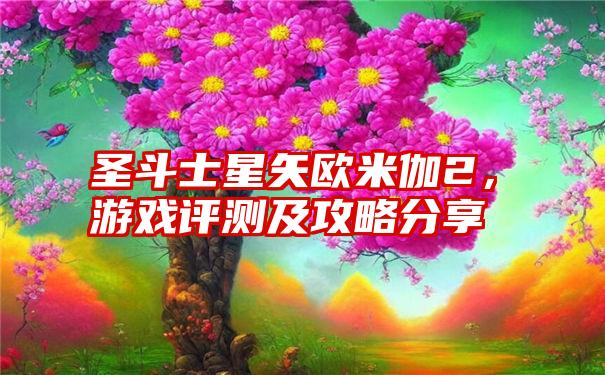 圣斗士星矢欧米伽2，游戏评测及攻略分享