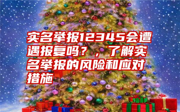 实名举报12345会遭遇报复吗？，了解实名举报的风险和应对措施