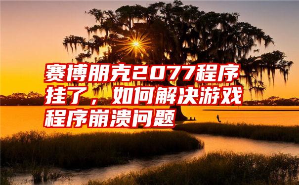 赛博朋克2077程序挂了，如何解决游戏程序崩溃问题