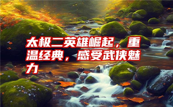 太极二英雄崛起，重温经典，感受武侠魅力