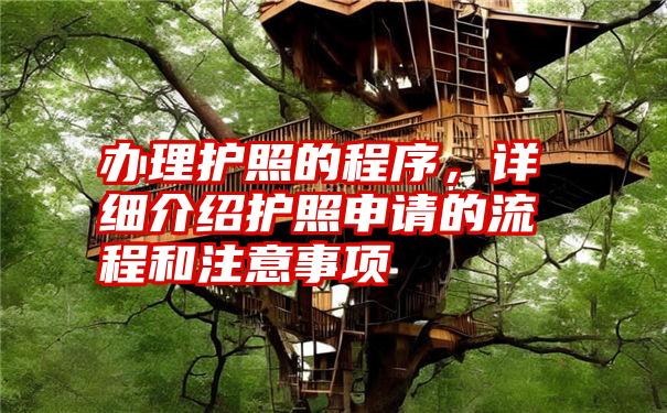 办理护照的程序，详细介绍护照申请的流程和注意事项