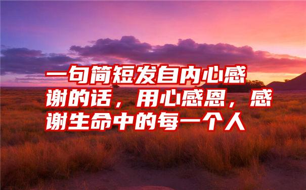 一句简短发自内心感谢的话,用心感恩,感谢生命中的每一个人