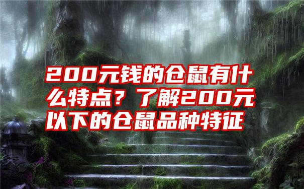 200元钱的仓鼠有什么特点？了解200元以下的仓鼠品种特征