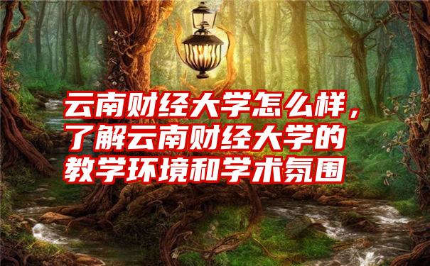 云南财经大学怎么样,了解云南财经大学的教学环境和学术氛围