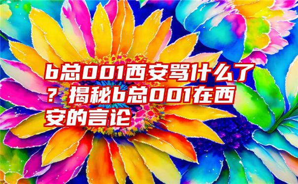 b总001西安骂什么了？揭秘b总001在西安的言论