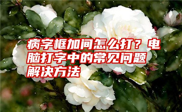 病字框加间怎么打？电脑打字中的常见问题解决方法