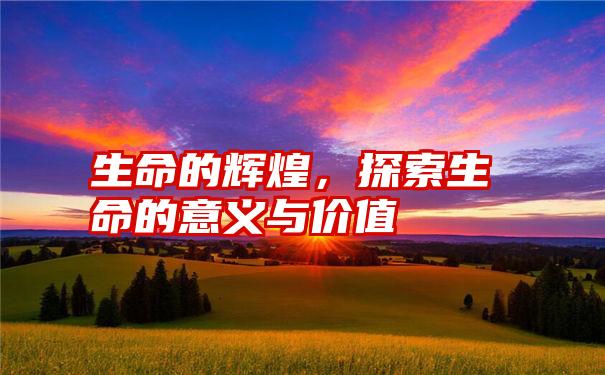 生命的辉煌，探索生命的意义与价值