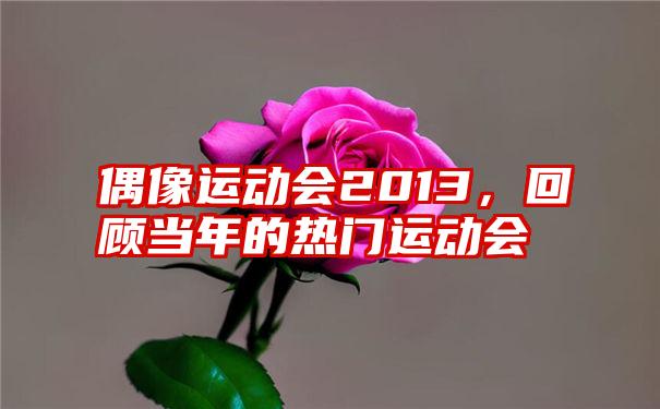 偶像运动会2013,回顾当年的热门运动会