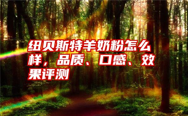 纽贝斯特羊奶粉怎么样,品质、口感、效果评测