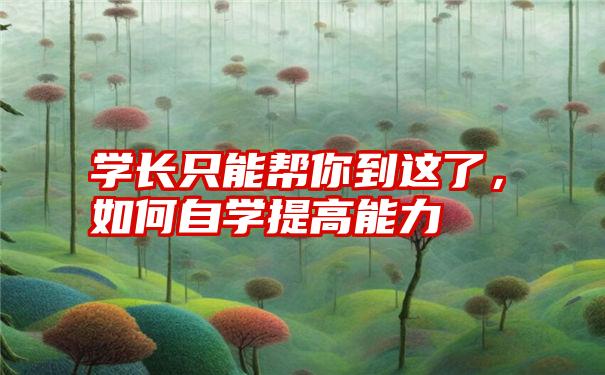 学长只能帮你到这了，如何自学提高能力