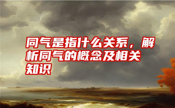 同气是指什么关系,解析同气的概念及相关知识