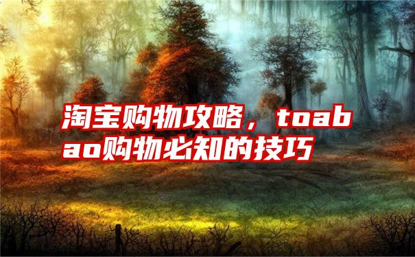 淘宝购物攻略，toabao购物必知的技巧