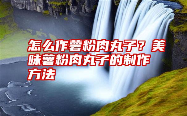 怎么作薯粉肉丸子？美味薯粉肉丸子的制作方法