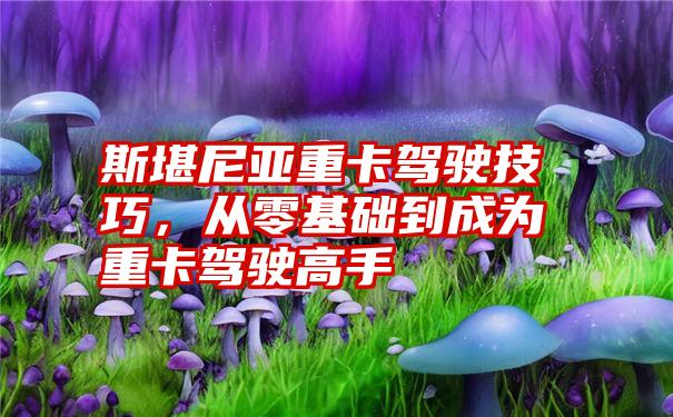 斯堪尼亚重卡驾驶技巧，从零基础到成为重卡驾驶高手