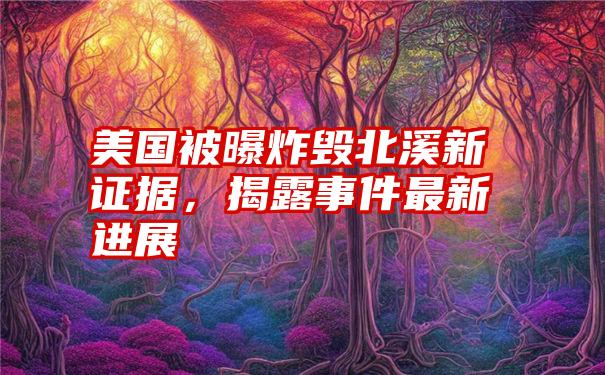 美国被曝炸毁北溪新证据，揭露事件最新进展