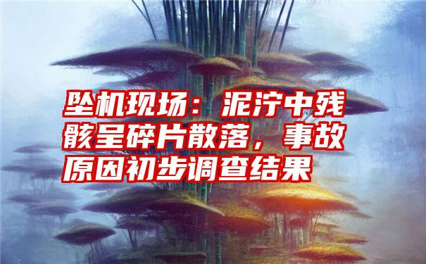 坠机现场：泥泞中残骸呈碎片散落，事故原因初步调查结果