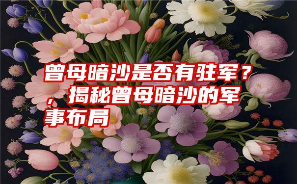 曾母暗沙是否有驻军？，揭秘曾母暗沙的军事布局